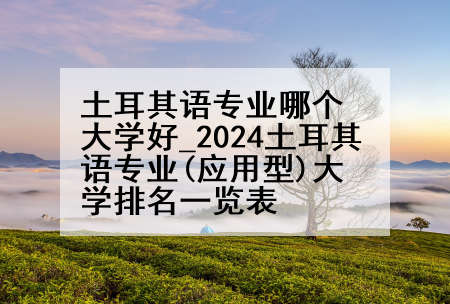 土耳其语专业哪个大学好_2024土耳其语专业(应用型)大学排名一览表