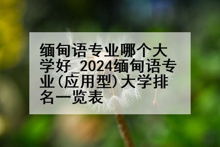 缅甸语专业哪个大学好_2024缅甸语专业(应用型)大学排名一览表