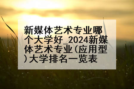 新媒体艺术专业哪个大学好_2024新媒体艺术专业(应用型)大学排名一览表
