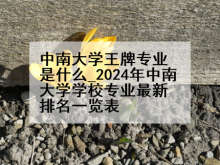 中南大学王牌专业是什么_2024年中南大学学校专业最新排名一览表