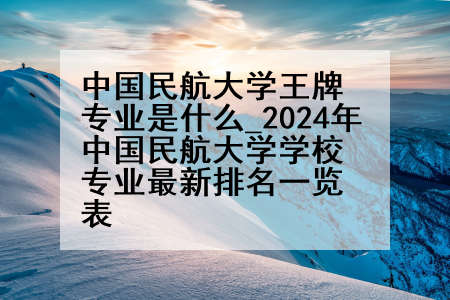 中国民航大学王牌专业是什么_2024年中国民航大学学校专业最新排名一览表