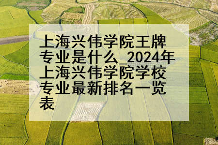 上海兴伟学院王牌专业是什么_2024年上海兴伟学院学校专业最新排名一览表