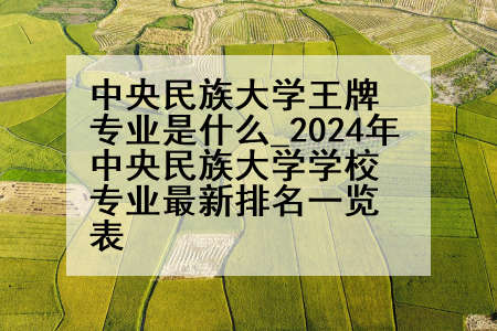 中央民族大学王牌专业是什么_2024年中央民族大学学校专业最新排名一览表