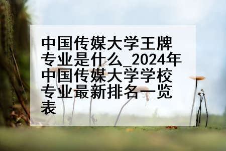 中国传媒大学王牌专业是什么_2024年中国传媒大学学校专业最新排名一览表