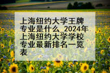 上海纽约大学王牌专业是什么_2024年上海纽约大学学校专业最新排名一览表