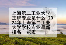 上海第二工业大学王牌专业是什么_2024年上海第二工业大学学校专业最新排名一览表