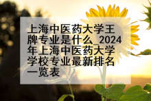 上海中医药大学王牌专业是什么_2024年上海中医药大学学校专业最新排名一览表