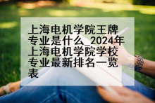 上海电机学院王牌专业是什么_2024年上海电机学院学校专业最新排名一览表