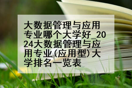 大数据管理与应用专业哪个大学好_2024大数据管理与应用专业(应用型)大学排名一览表