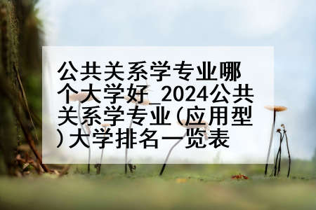 公共关系学专业哪个大学好_2024公共关系学专业(应用型)大学排名一览表