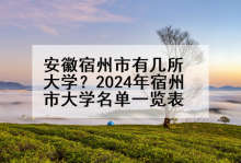 安徽宿州市有几所大学？2024年宿州市大学名单一览表