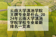 云南大学滇池学院王牌专业是什么_2024年云南大学滇池学院学校专业最新排名一览表