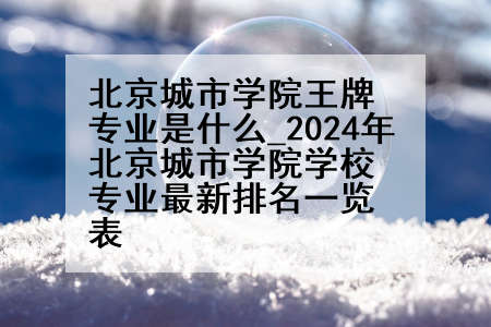 北京城市学院王牌专业是什么_2024年北京城市学院学校专业最新排名一览表