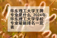 华东理工大学王牌专业是什么_2024年华东理工大学学校专业最新排名一览表