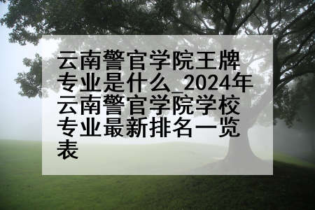 云南警官学院王牌专业是什么_2024年云南警官学院学校专业最新排名一览表