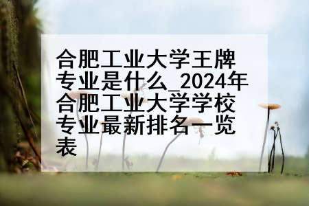 合肥工业大学王牌专业是什么_2024年合肥工业大学学校专业最新排名一览表