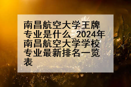 南昌航空大学王牌专业是什么_2024年南昌航空大学学校专业最新排名一览表
