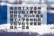 南京理工大学泰州科技学院王牌专业是什么_2024年南京理工大学泰州科技学院学校专业最新排名一览表