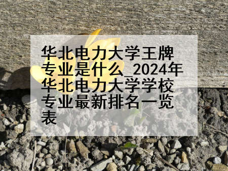 华北电力大学王牌专业是什么_2024年华北电力大学学校专业最新排名一览表