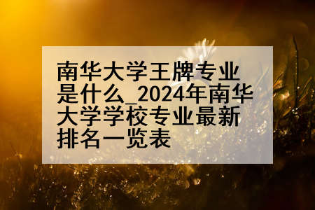 南华大学王牌专业是什么_2024年南华大学学校专业最新排名一览表