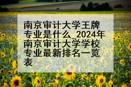 南京审计大学王牌专业是什么_2024年南京审计大学学校专业最新排名一览表