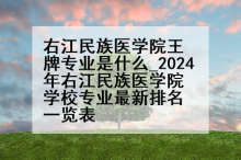 右江民族医学院王牌专业是什么_2024年右江民族医学院学校专业最新排名一览表