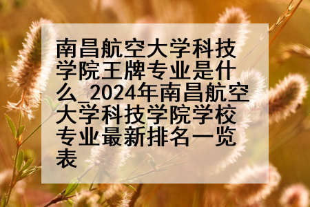 南昌航空大学科技学院王牌专业是什么_2024年南昌航空大学科技学院学校专业最新排名一览表