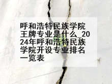 呼和浩特民族学院王牌专业是什么_2024年呼和浩特民族学院开设专业排名一览表