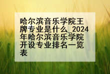 哈尔滨音乐学院王牌专业是什么_2024年哈尔滨音乐学院开设专业排名一览表