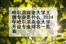 哈尔滨商业大学王牌专业是什么_2024年哈尔滨商业大学开设专业排名一览表