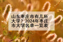 山东枣庄市有几所大学？2024年枣庄市大学名单一览表