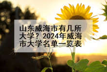 山东威海市有几所大学？2024年威海市大学名单一览表