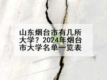 山东烟台市有几所大学？2024年烟台市大学名单一览表