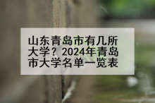 山东青岛市有几所大学？2024年青岛市大学名单一览表