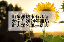 山东潍坊市有几所大学？2024年潍坊市大学名单一览表