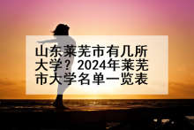 山东莱芜市有几所大学？2024年莱芜市大学名单一览表