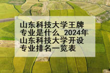 山东科技大学王牌专业是什么_2024年山东科技大学开设专业排名一览表