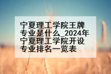 宁夏理工学院王牌专业是什么_2024年宁夏理工学院开设专业排名一览表