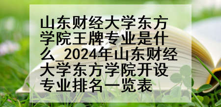 山东财经大学东方学院王牌专业是什么_2024年山东财经大学东方学院开设专业排名一览表