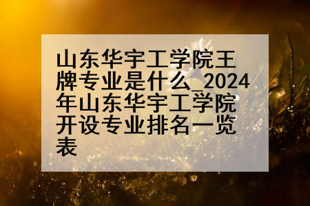 山东华宇工学院王牌专业是什么_2024年山东华宇工学院开设专业排名一览表