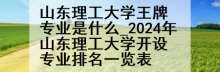 山东理工大学王牌专业是什么_2024年山东理工大学开设专业排名一览表