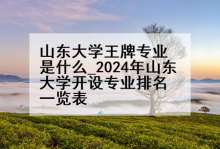 山东大学王牌专业是什么_2024年山东大学开设专业排名一览表