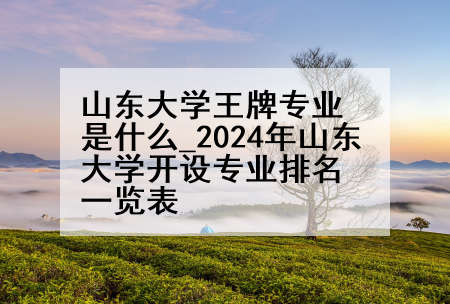 山东大学王牌专业是什么_2024年山东大学开设专业排名一览表