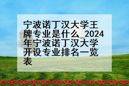 宁波诺丁汉大学王牌专业是什么_2024年宁波诺丁汉大学开设专业排名一览表