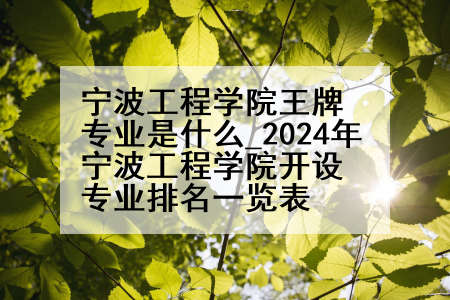 宁波工程学院王牌专业是什么_2024年宁波工程学院开设专业排名一览表