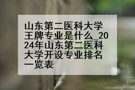 山东第二医科大学王牌专业是什么_2024年山东第二医科大学开设专业排名一览表