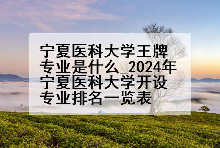 宁夏医科大学王牌专业是什么_2024年宁夏医科大学开设专业排名一览表