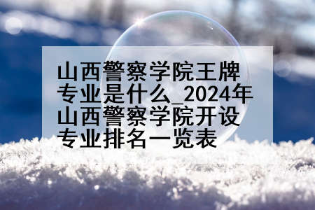 山西警察学院王牌专业是什么_2024年山西警察学院开设专业排名一览表