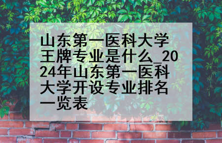 山东第一医科大学王牌专业是什么_2024年山东第一医科大学开设专业排名一览表