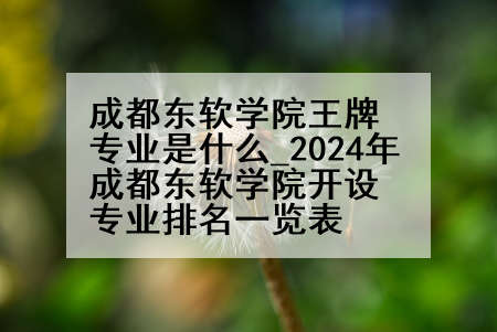 成都东软学院王牌专业是什么_2024年成都东软学院开设专业排名一览表